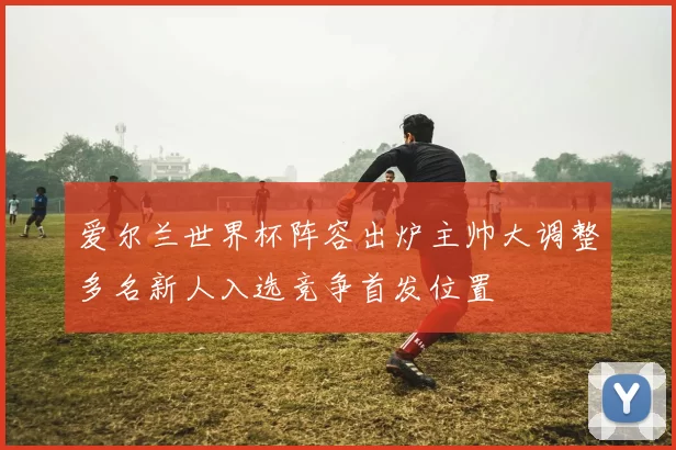 爱尔兰世界杯阵容出炉主帅大调整多名新人入选竞争首发位置