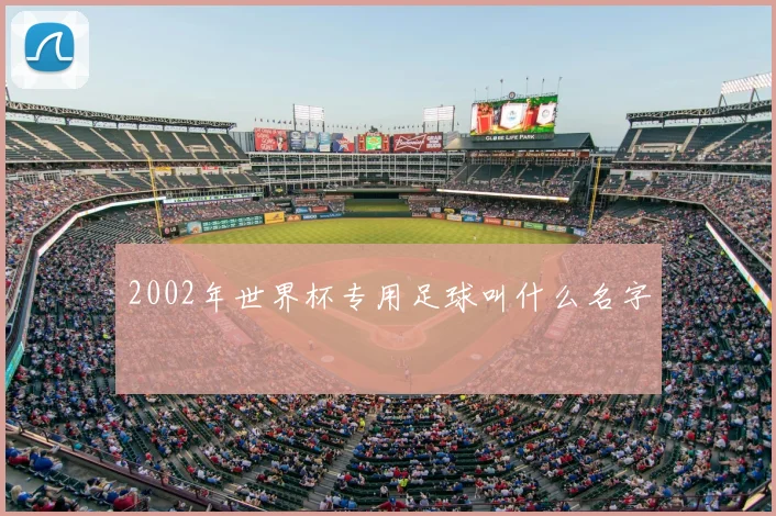 2002年世界杯专用足球叫什么名字